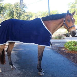 Blankets, Sheets, & More!