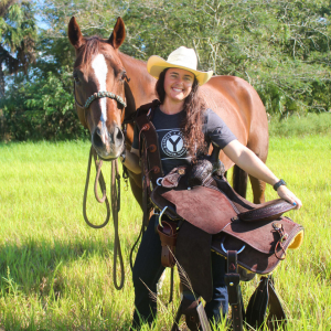 In Stock Saddles