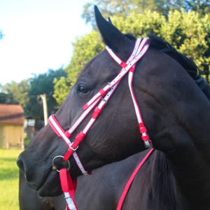 Race Bridles & Headstalls – Tack Shack Of Ocala