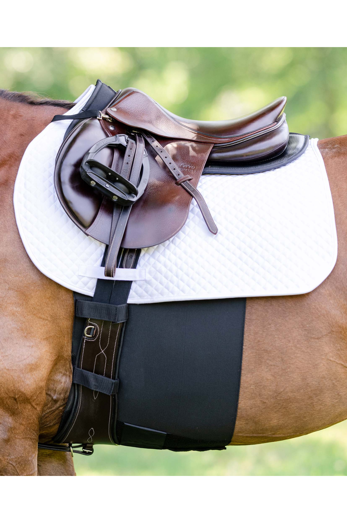 EQUITFIT BELLYBAND