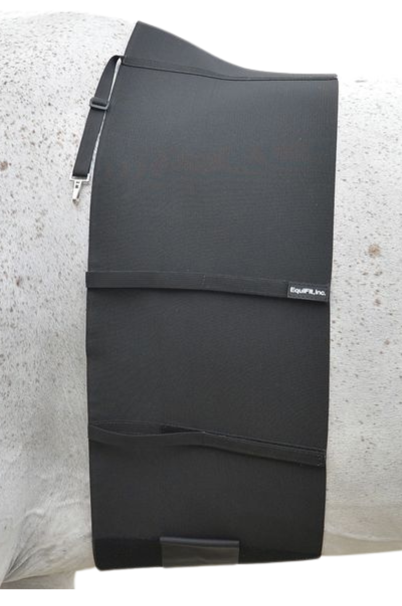 EQUITFIT BELLYBAND