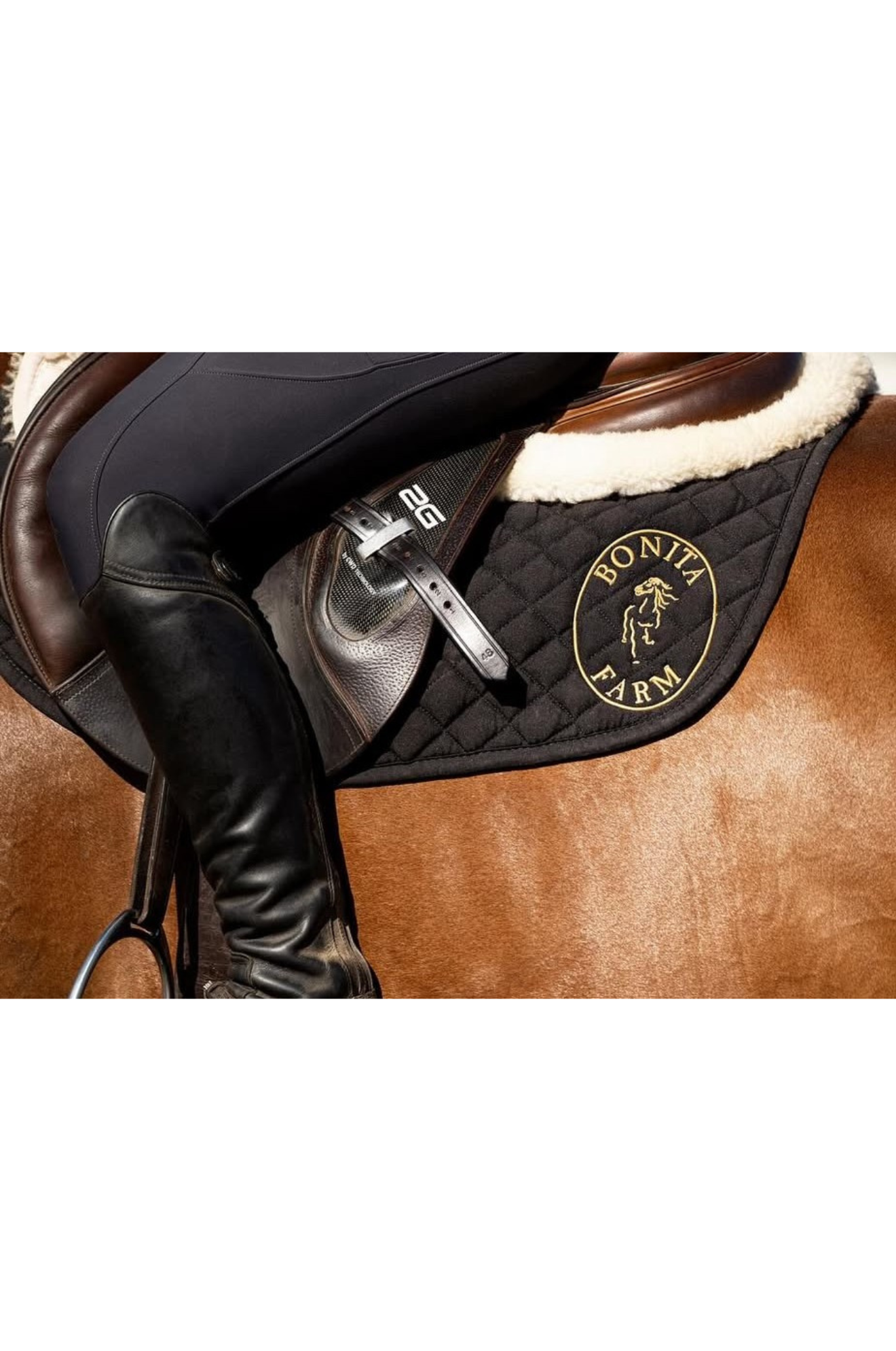 Close-up of a brown leather saddle with a black quilted pad and 'Bonita' logo, featuring a boot and girth.