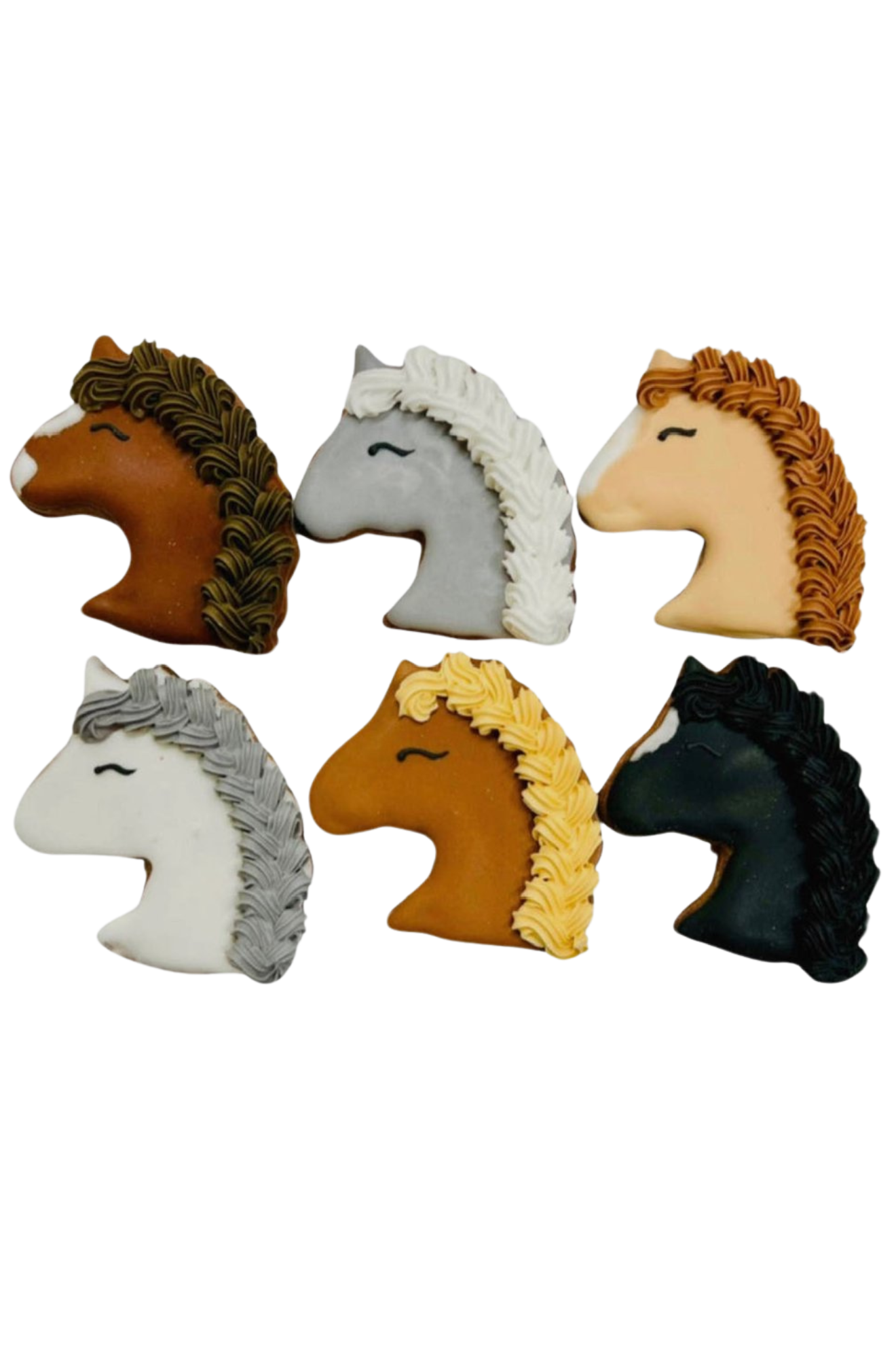 Snacks 5th Avenchew Horse Treats