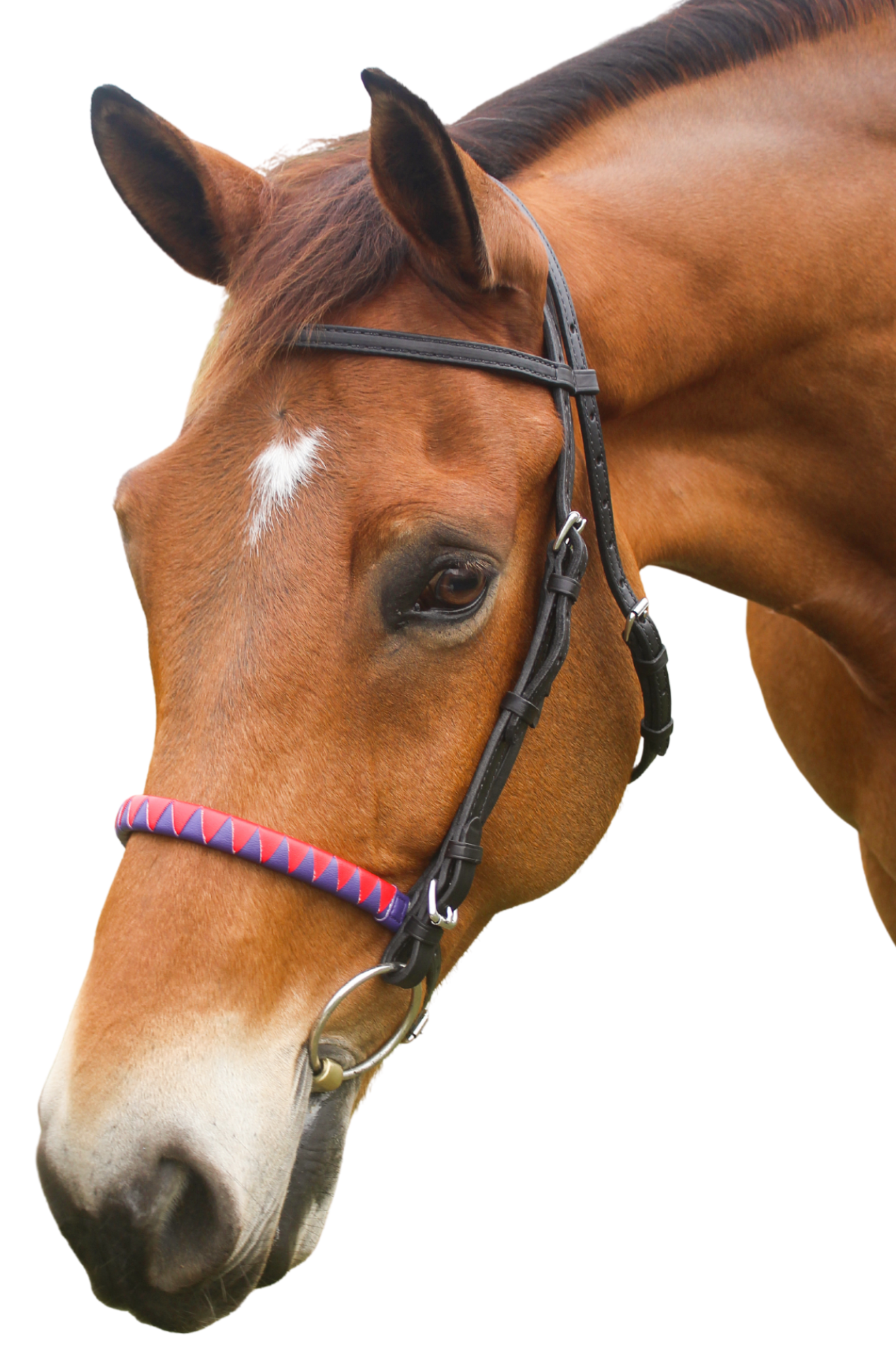 A horse wearing a bridle with a sharkstooth noseband.