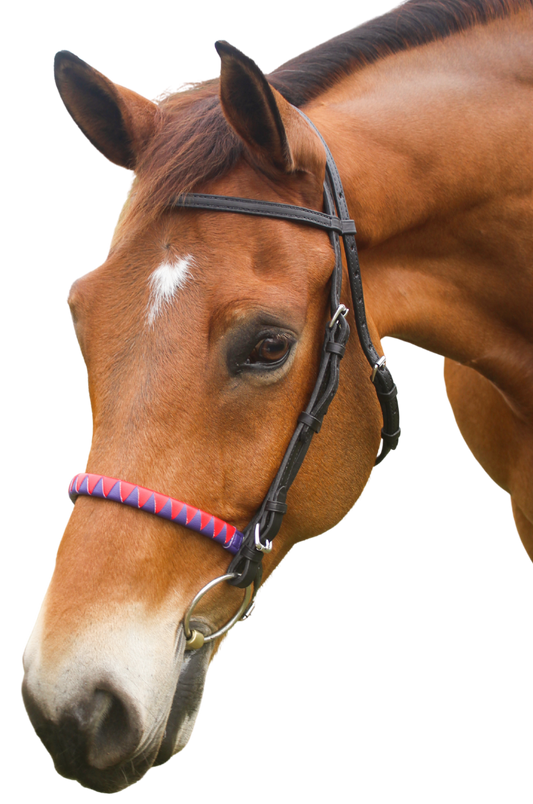 A horse wearing a bridle with a sharkstooth noseband.