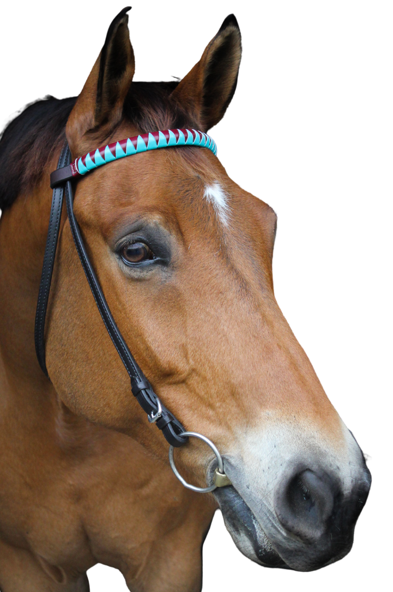 TS Custom Browbands