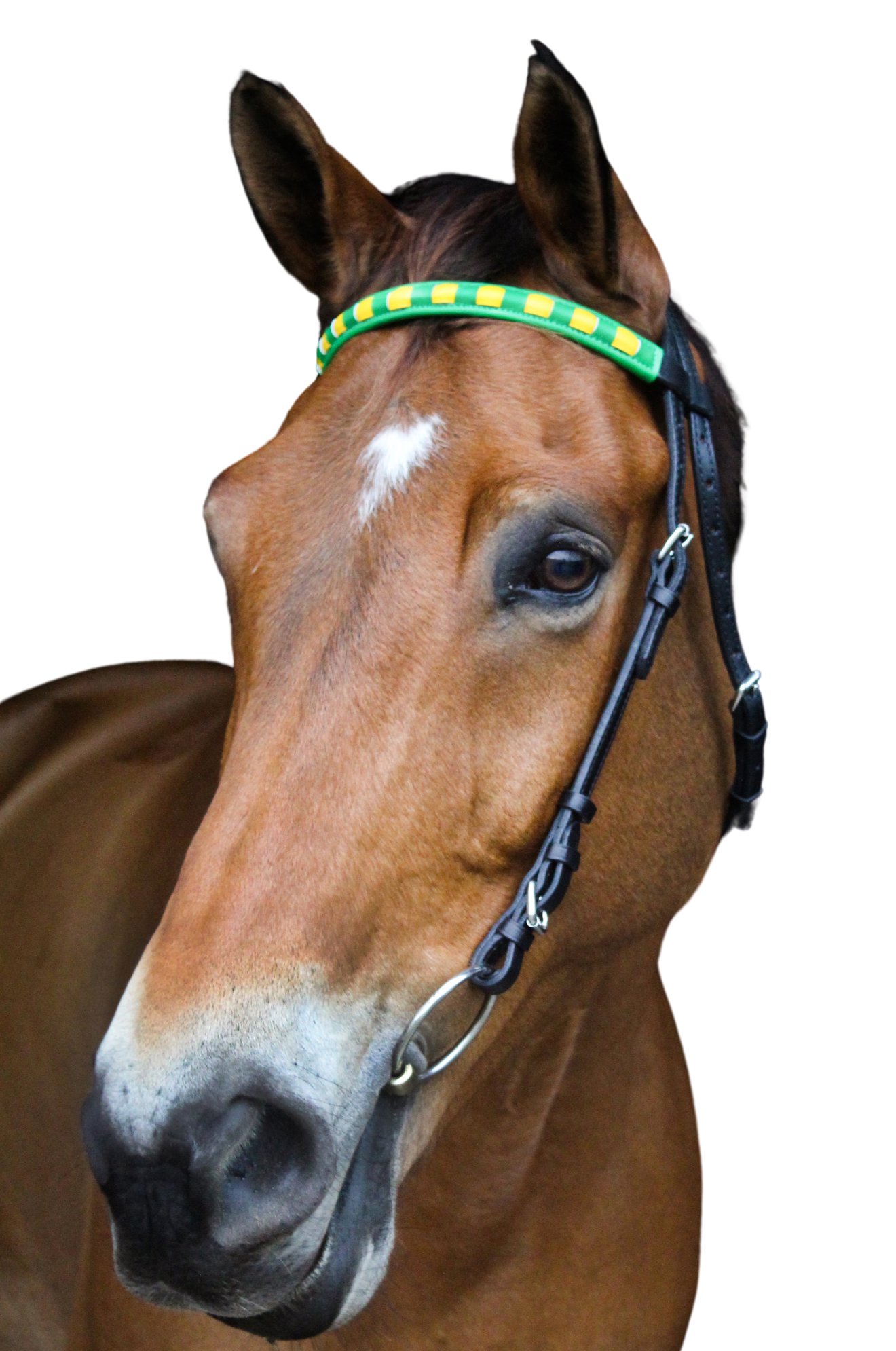 TS Custom Browbands
