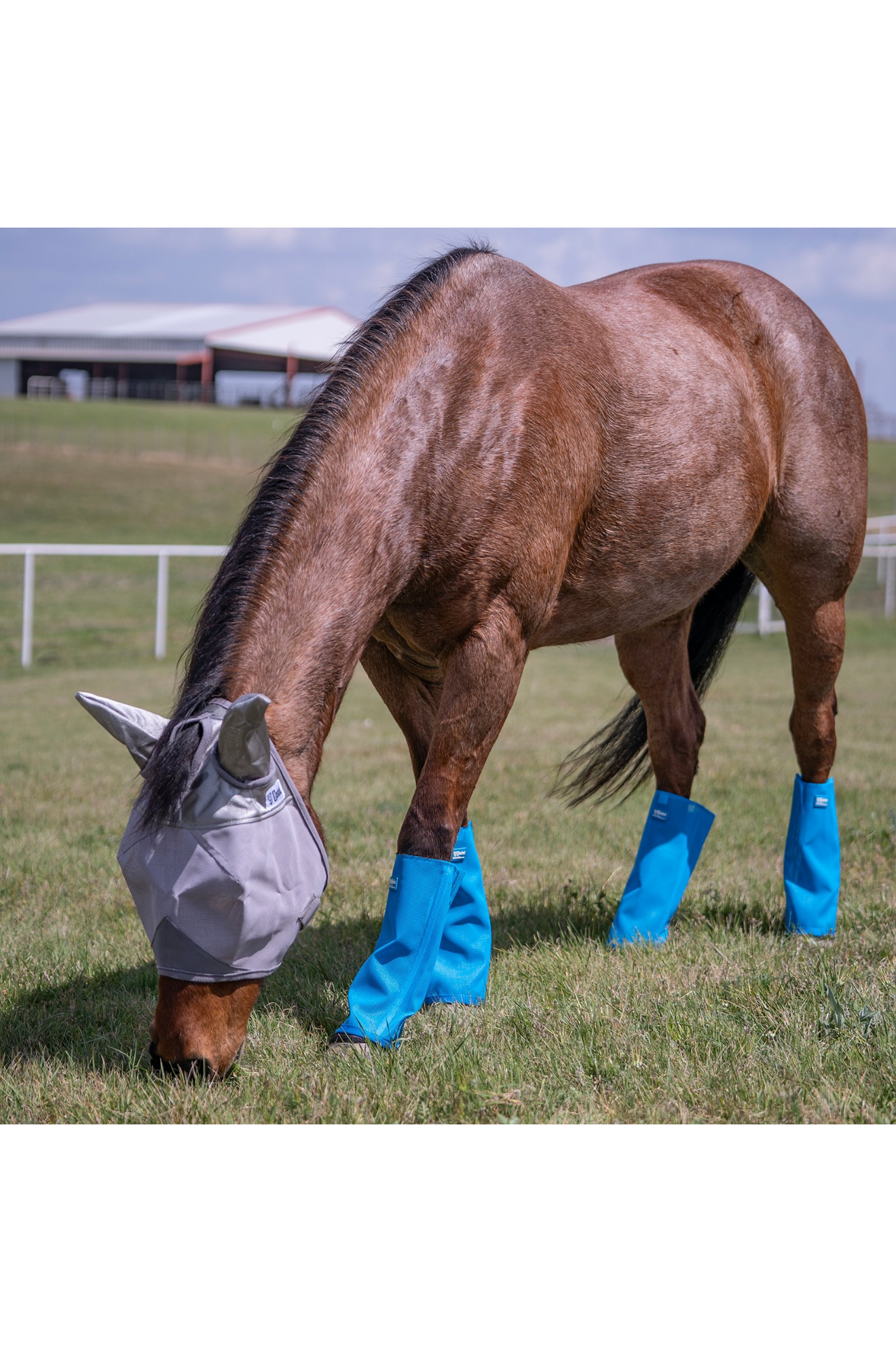 Cashel Crusader Blue