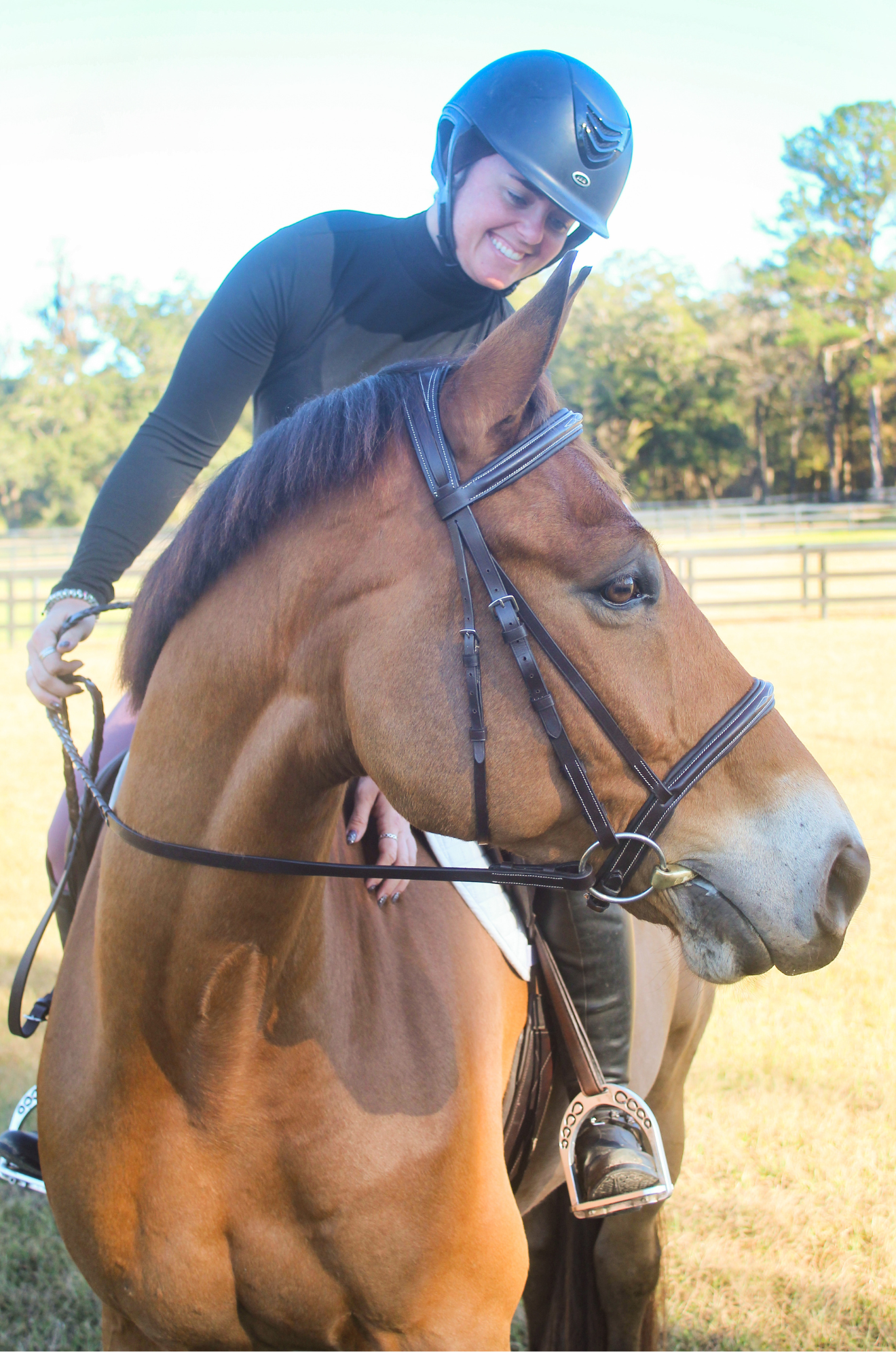 AVIGNON NASHVILLE BRIDLE