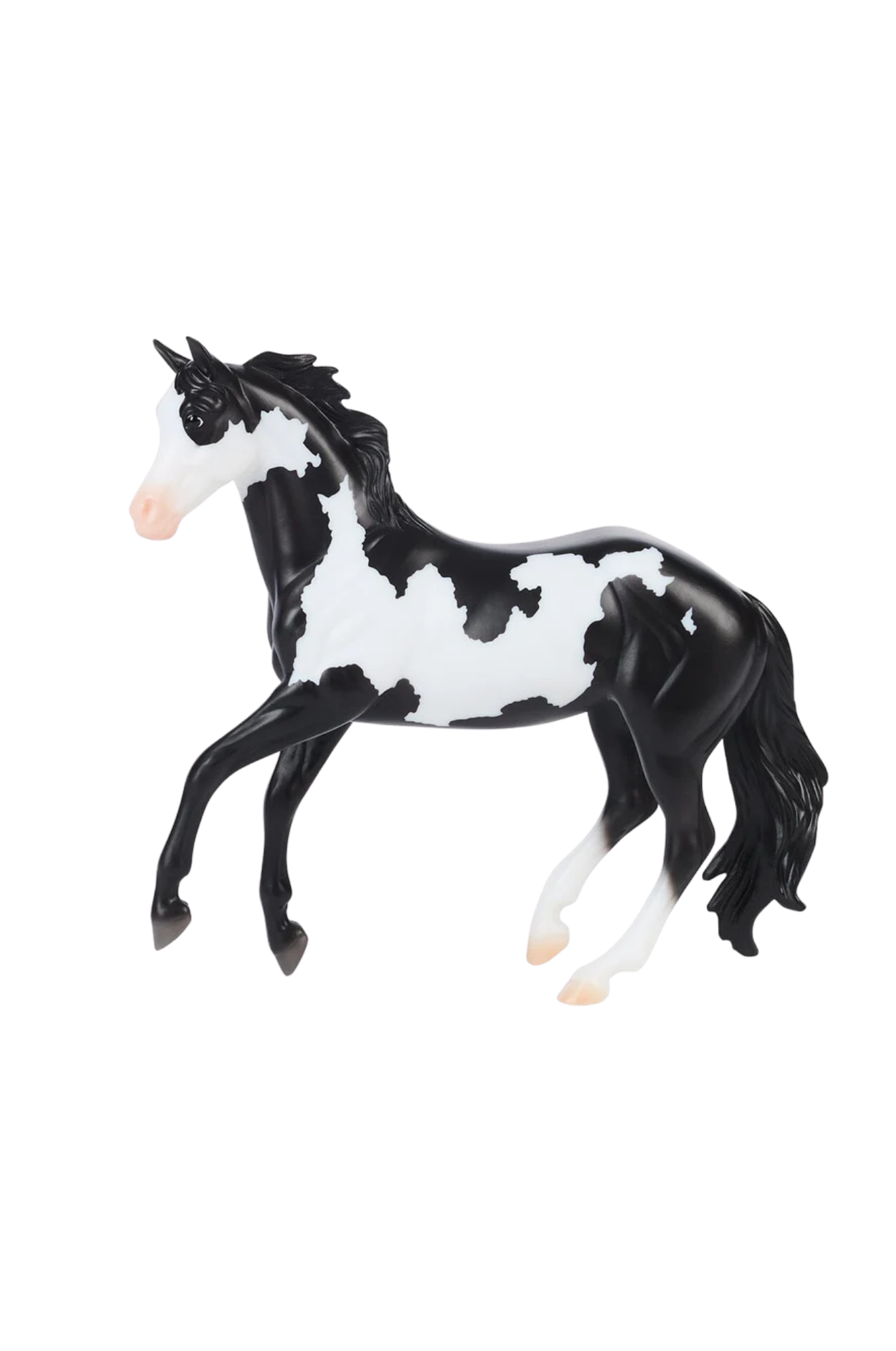 Frame Overo Stock Horse