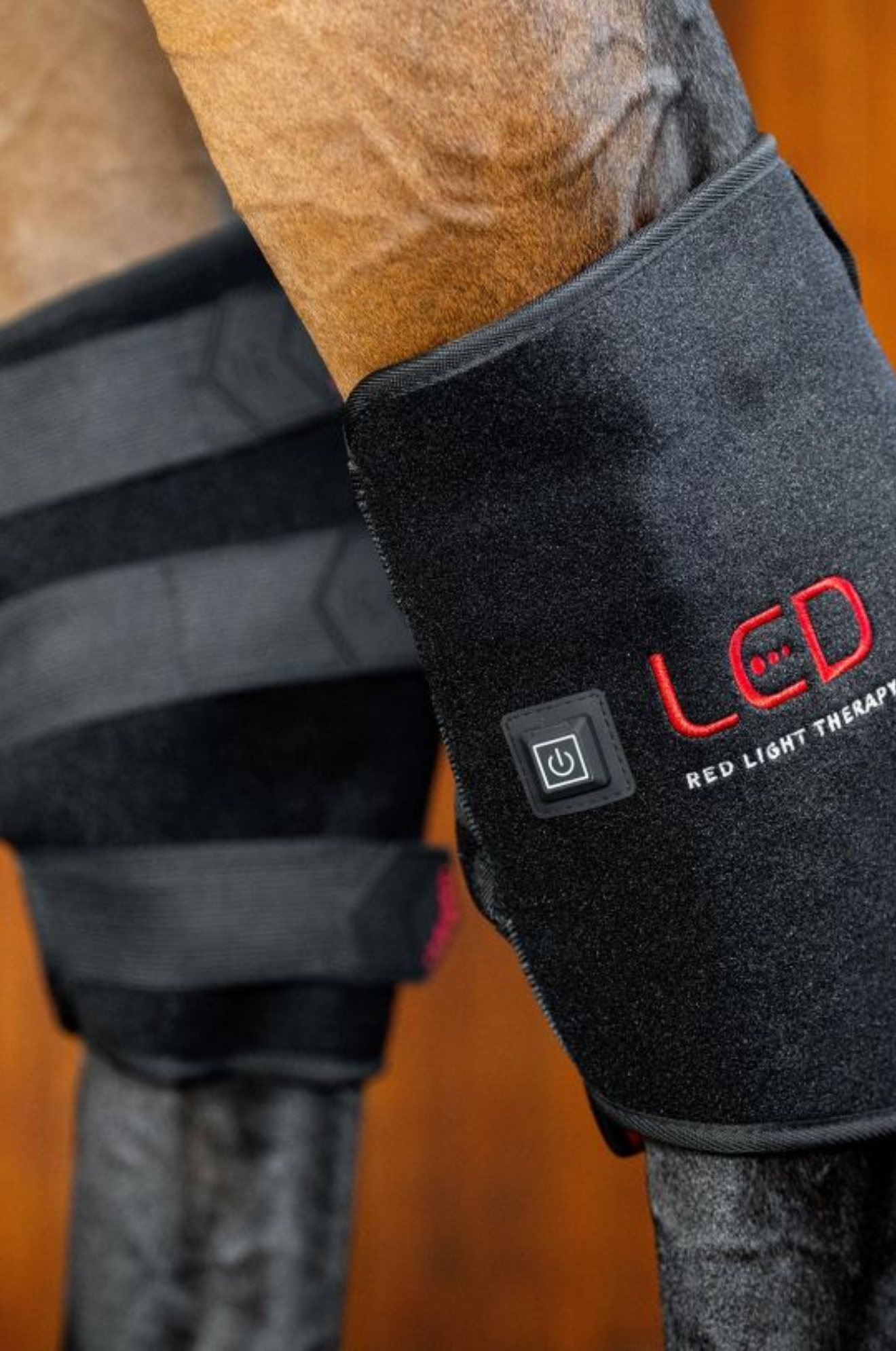 Horseware_LED_Red_Light_Therapy_Hock_Boot