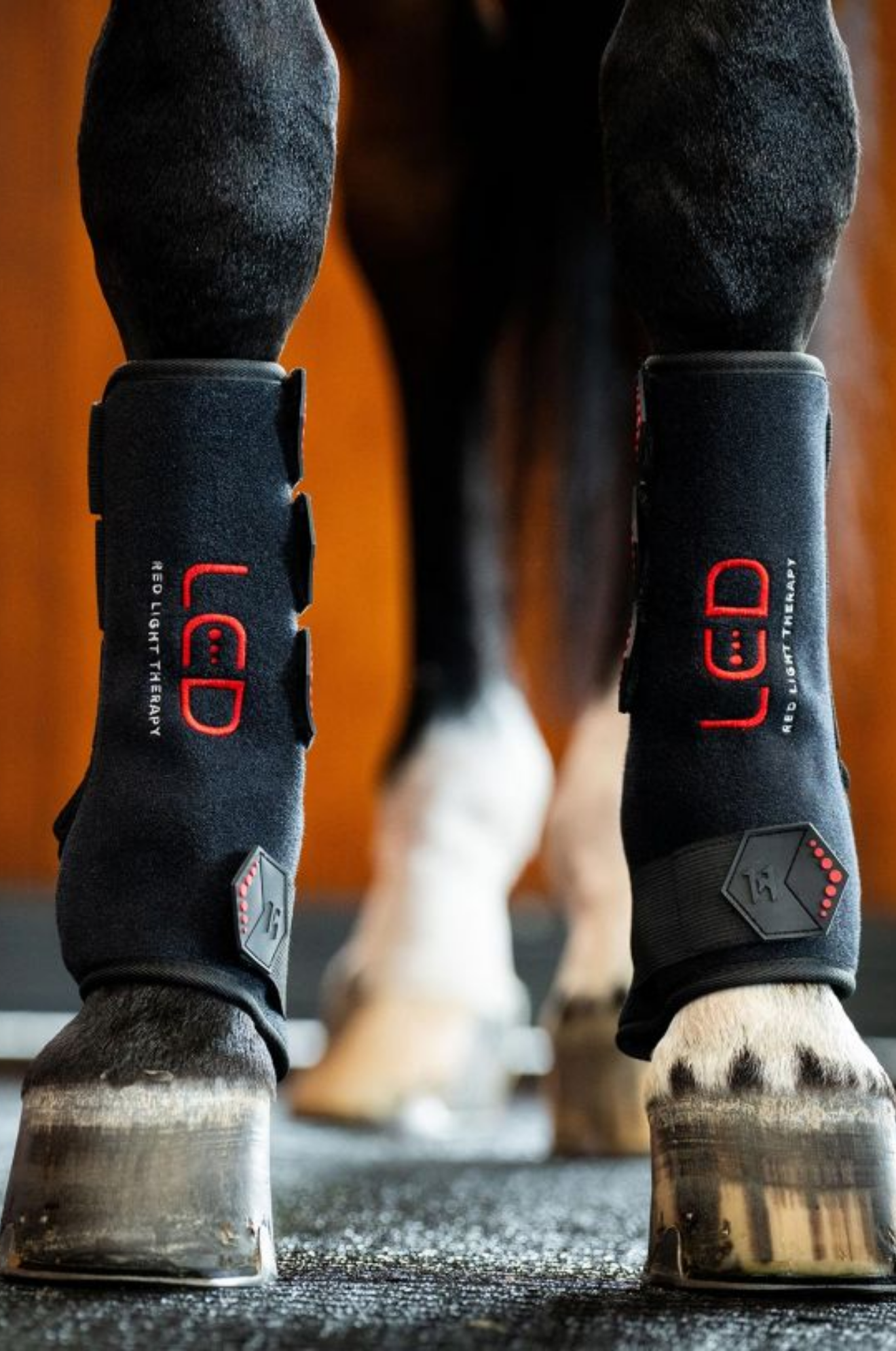 Horseware_LED_Red_Light_Therapy_Leg_Wrap