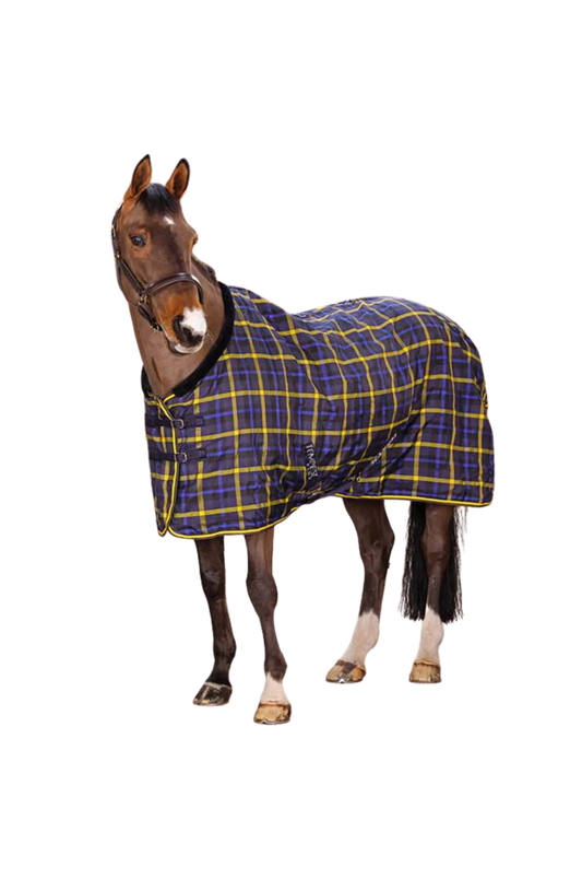 A horse wearing a blue and yellow checkered stable blanket with a fleece lining.