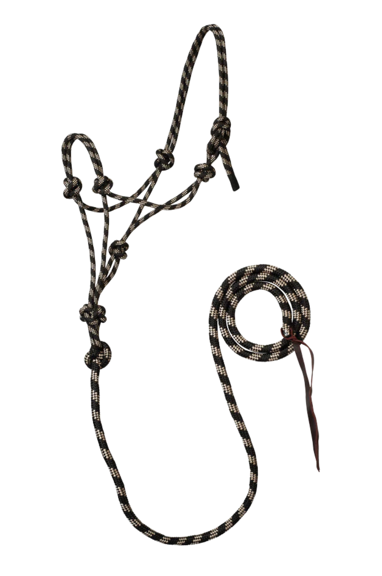 Rope Halter w/Lead