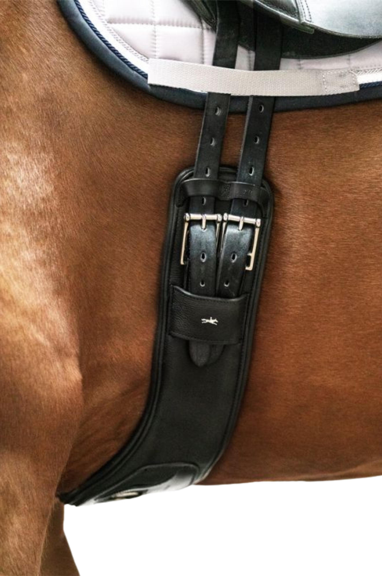 Schockemhle_SP_Pittsburgh_Dressage_Girth