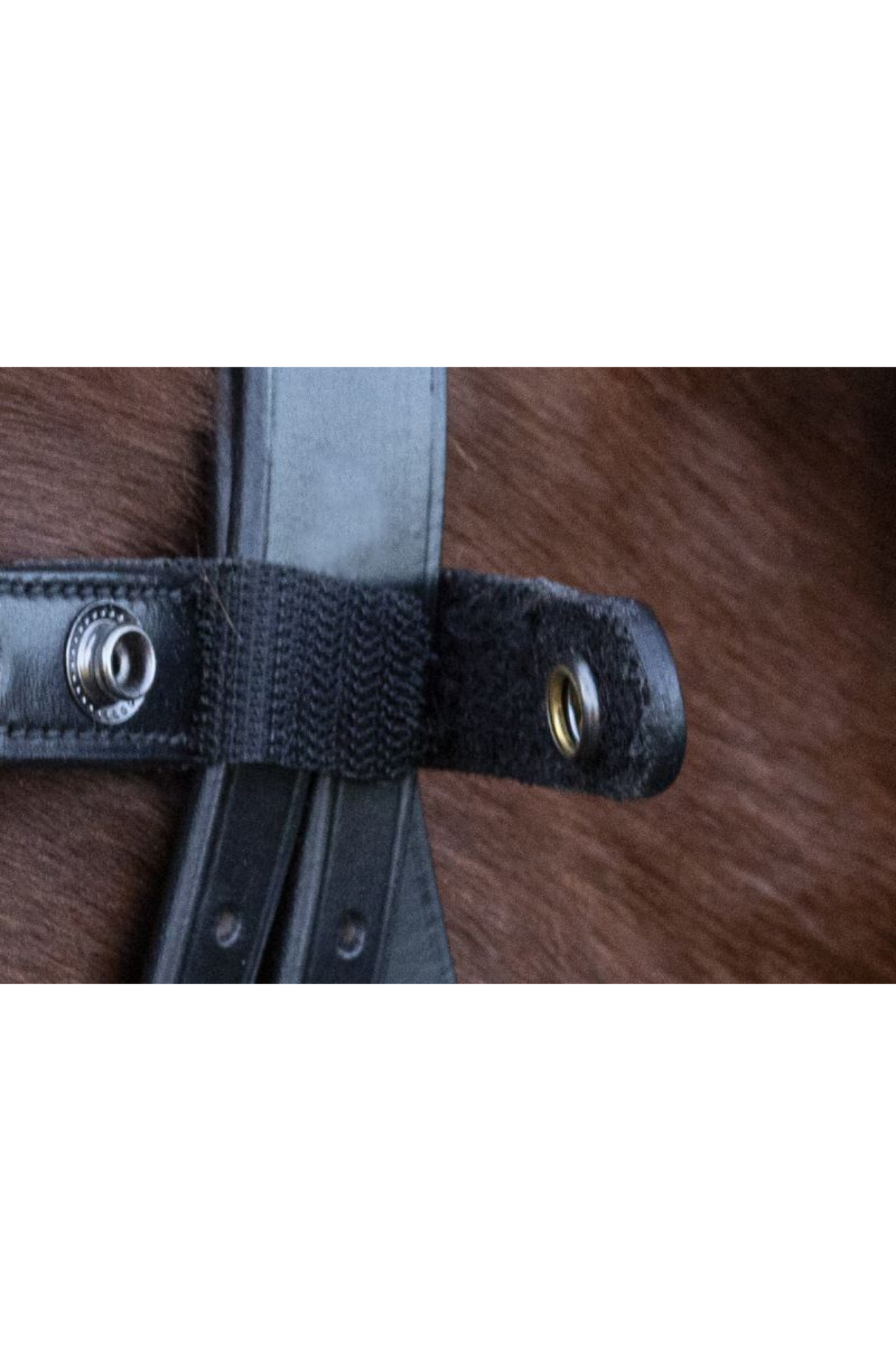 Schockemohle_Siena_Bridle