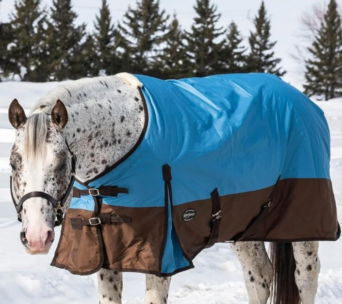 Horse wearing a blue and brown winter blanket in a snowy landscape with trees.