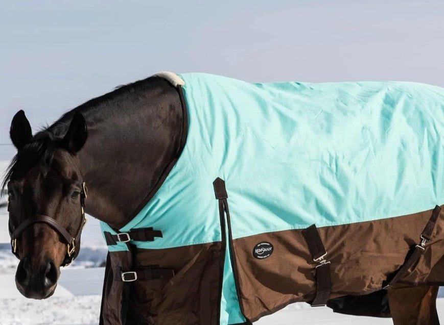 Horse wearing a turquoise and brown blanket in a snowy landscape