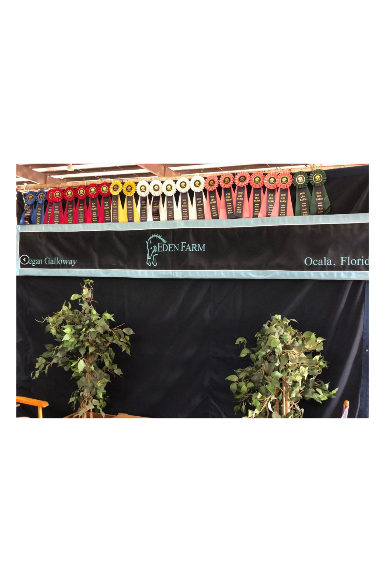 A custom valance banner with the text 'FLYING SHEEP FARM' along with an image of sheep on it, against a black background.