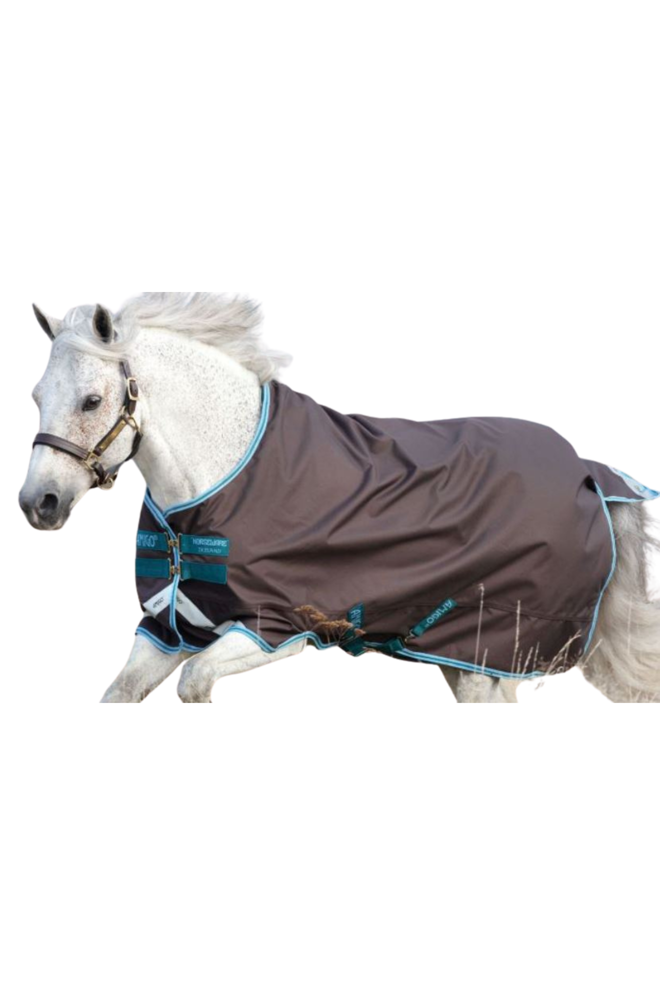 AMIGO BRAVO 12 PONY TURNOUT LITE