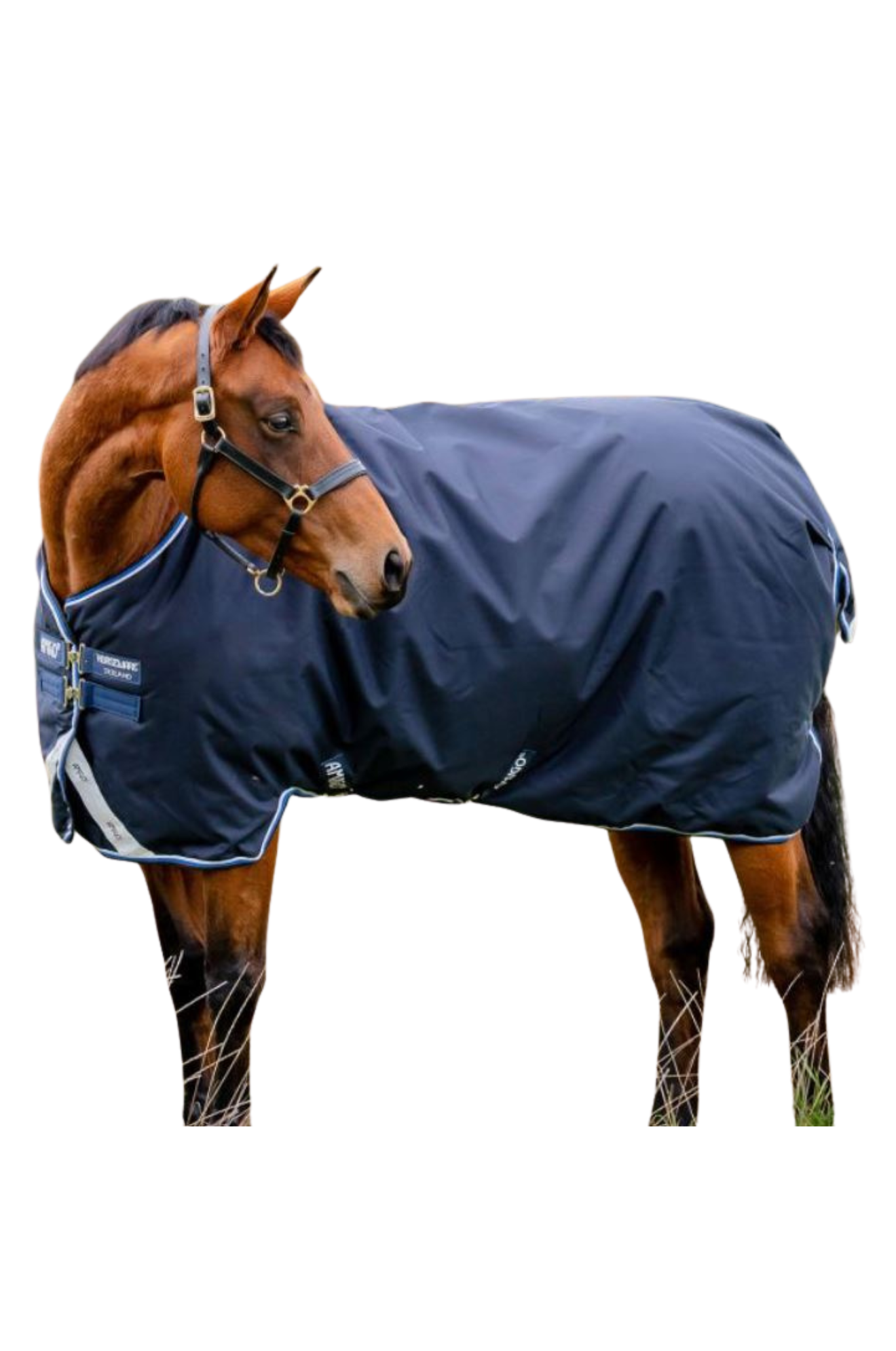 Amigo Bravo 12 Turnout Medium 250G