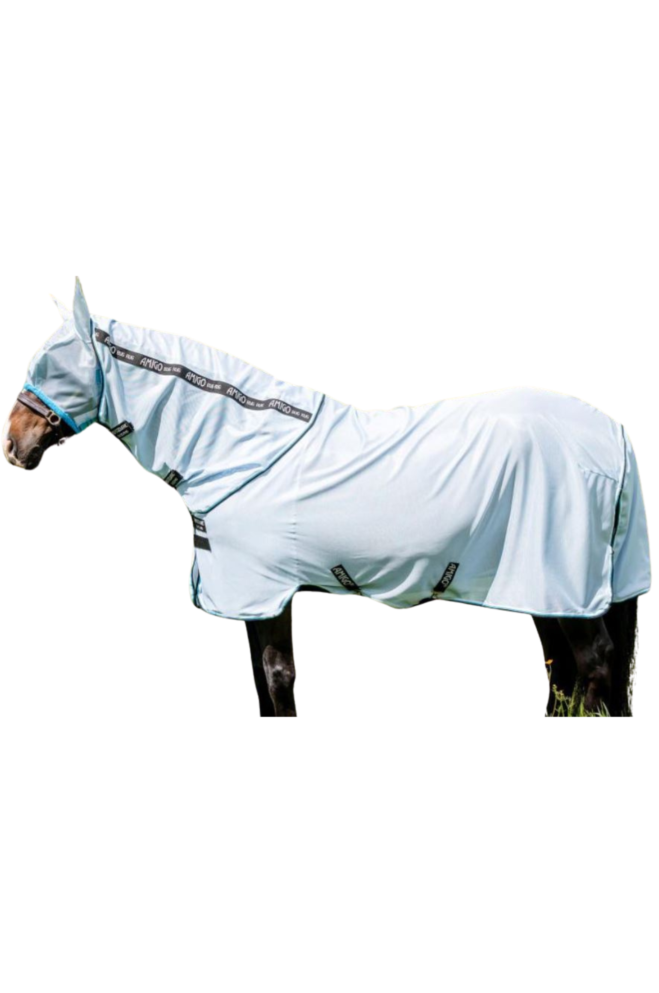 A horse wearing a white fly sheet with UV protection.
