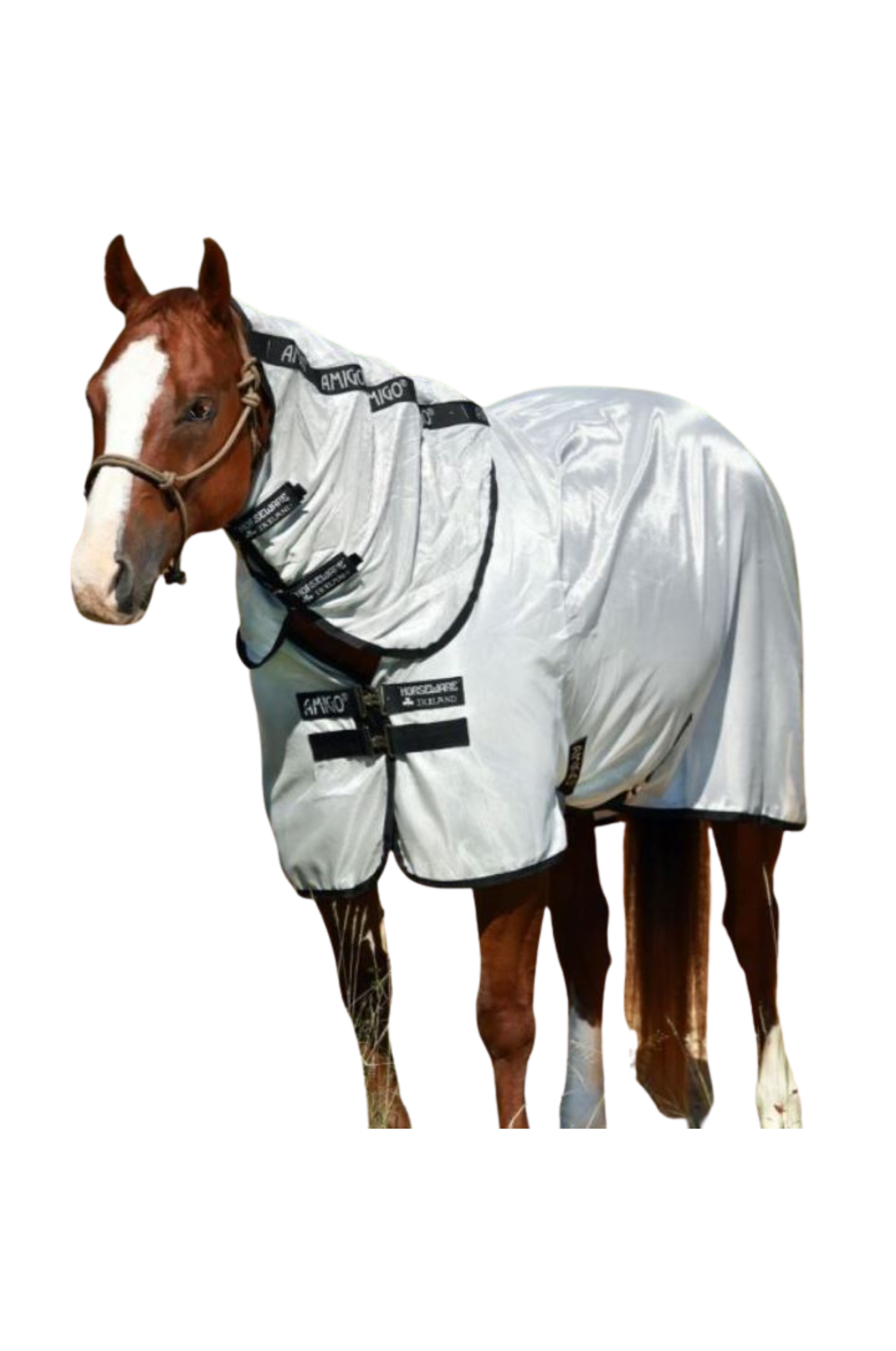 A brown horse wearing a silver Amigo Stock Horse Fly Sheet with no fill, featuring a Detachable Hood.