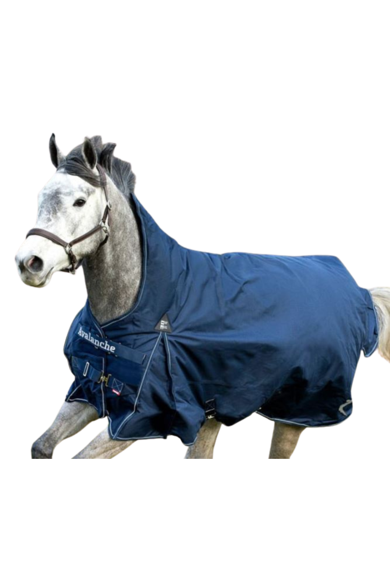 AVALANCHE RAIN FLEECE