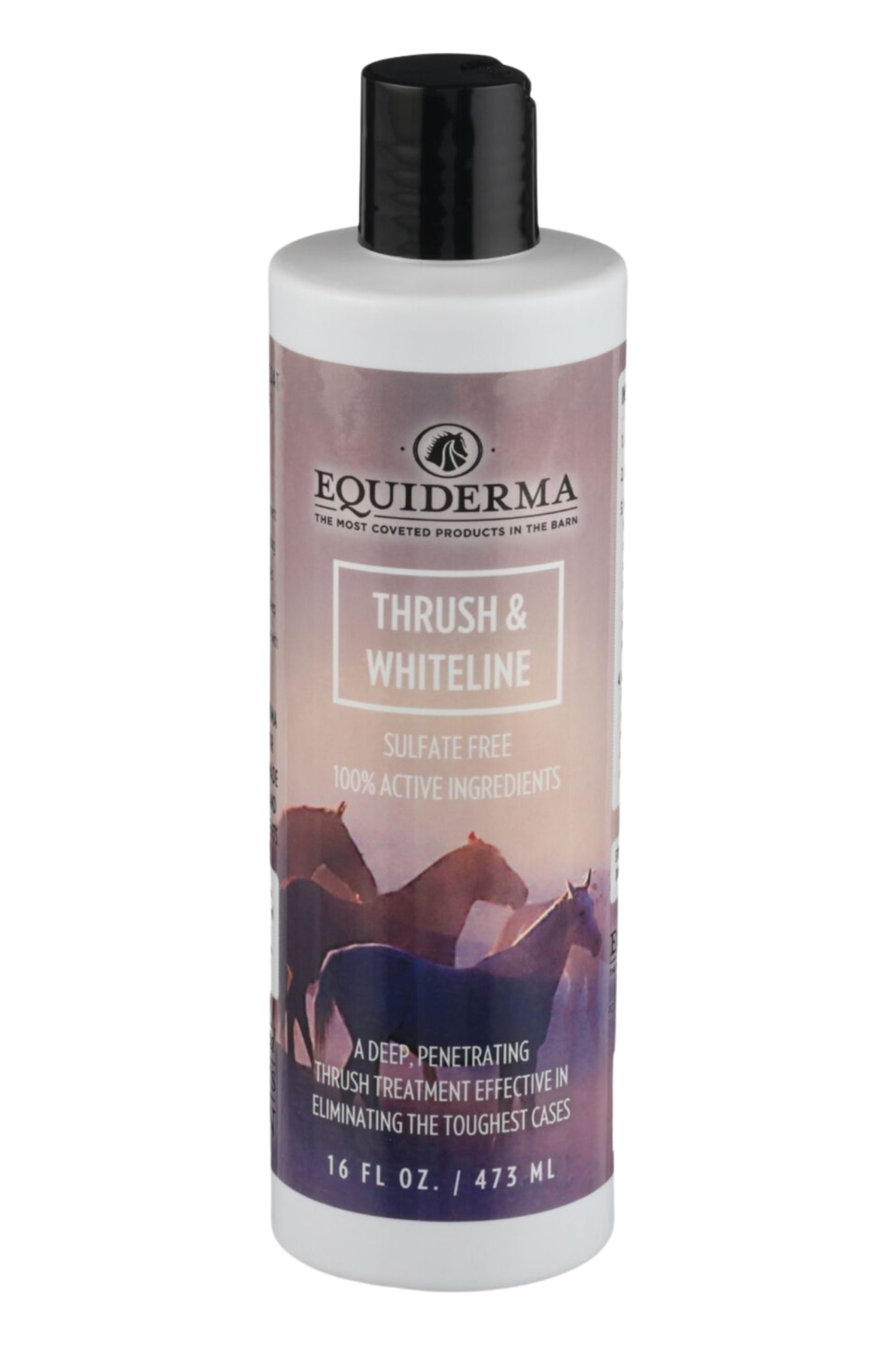 EQUIDERMA THRUSH TREATMENT