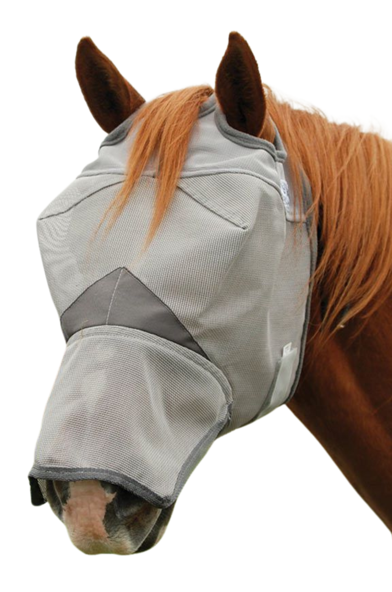 A horse wearing a gray Crusader long nose fly mask, which covers the horse's eyes, lashes, and temples to protect against UV rays and flies.