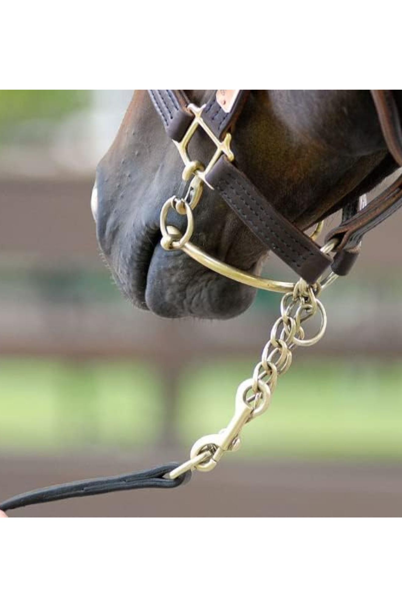 TS LEATHER SHANK CHIFNEY