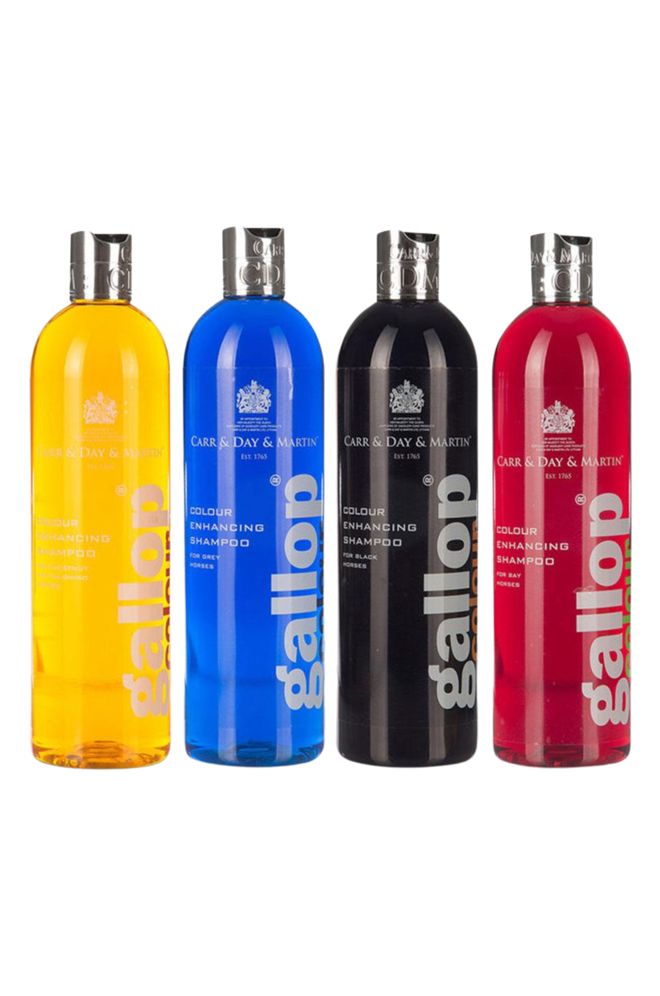 GALLOP COLOUR SHAMPOO