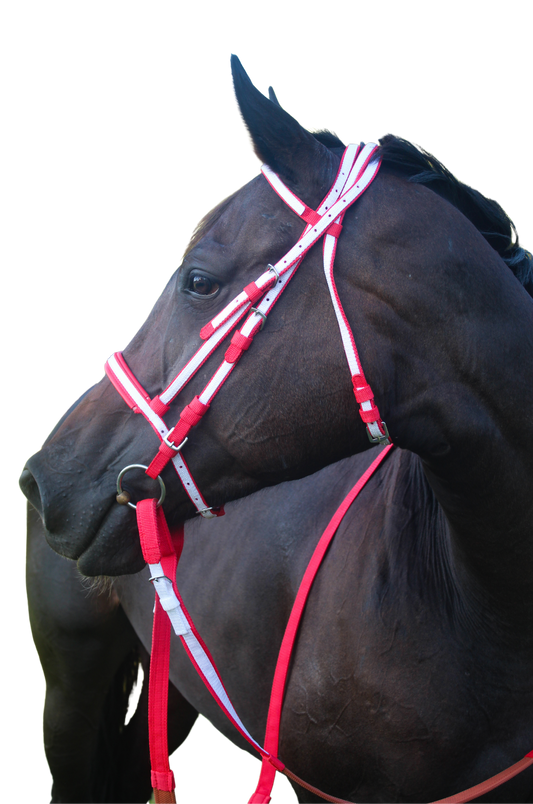 TS Nylon Race Bridle Set