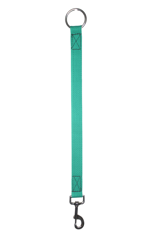 A bucket hanger with a chrome ring and snap.