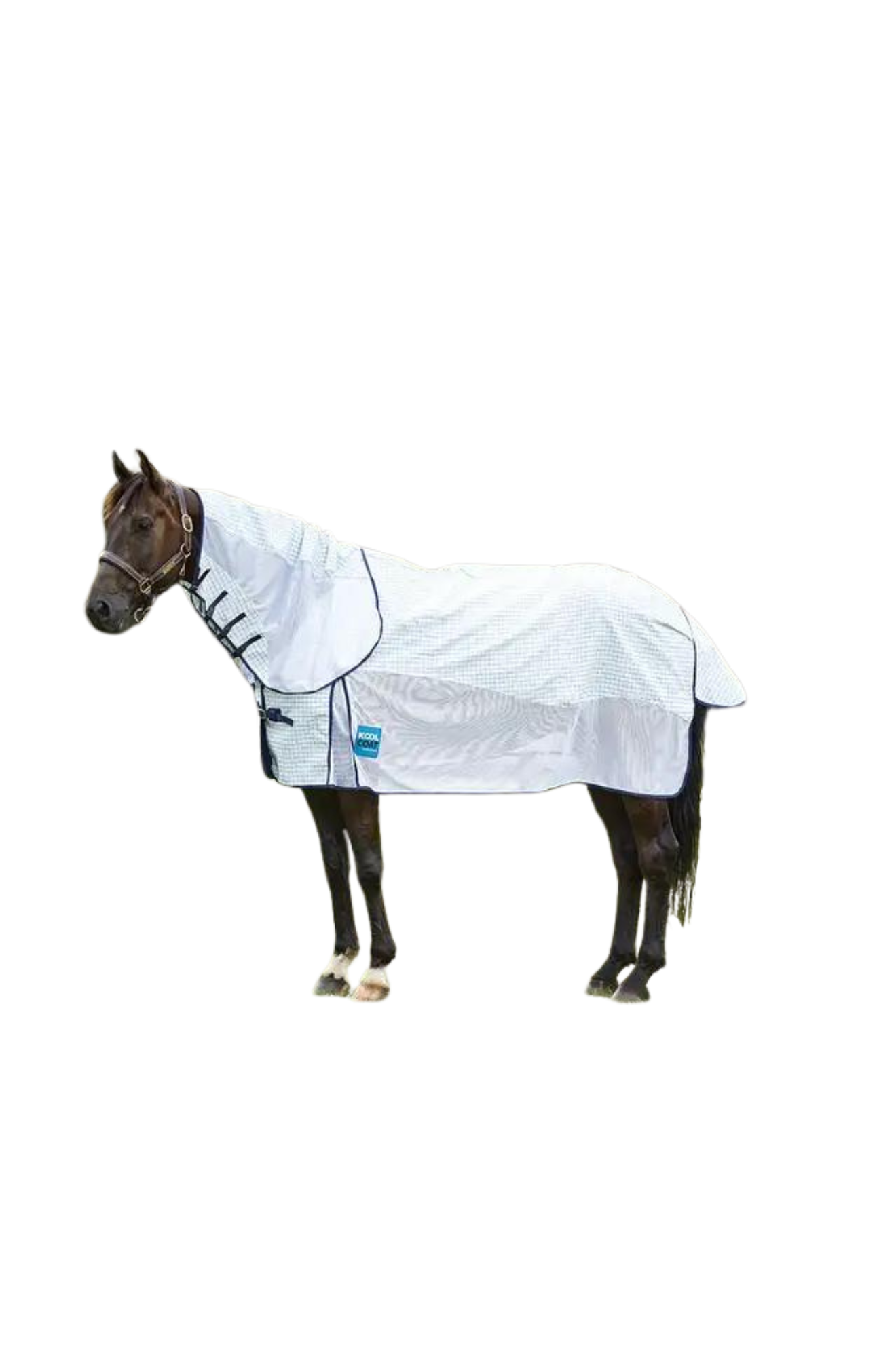 A horse wearing a white weather protection coat with mesh paneling and detachable neck features.
