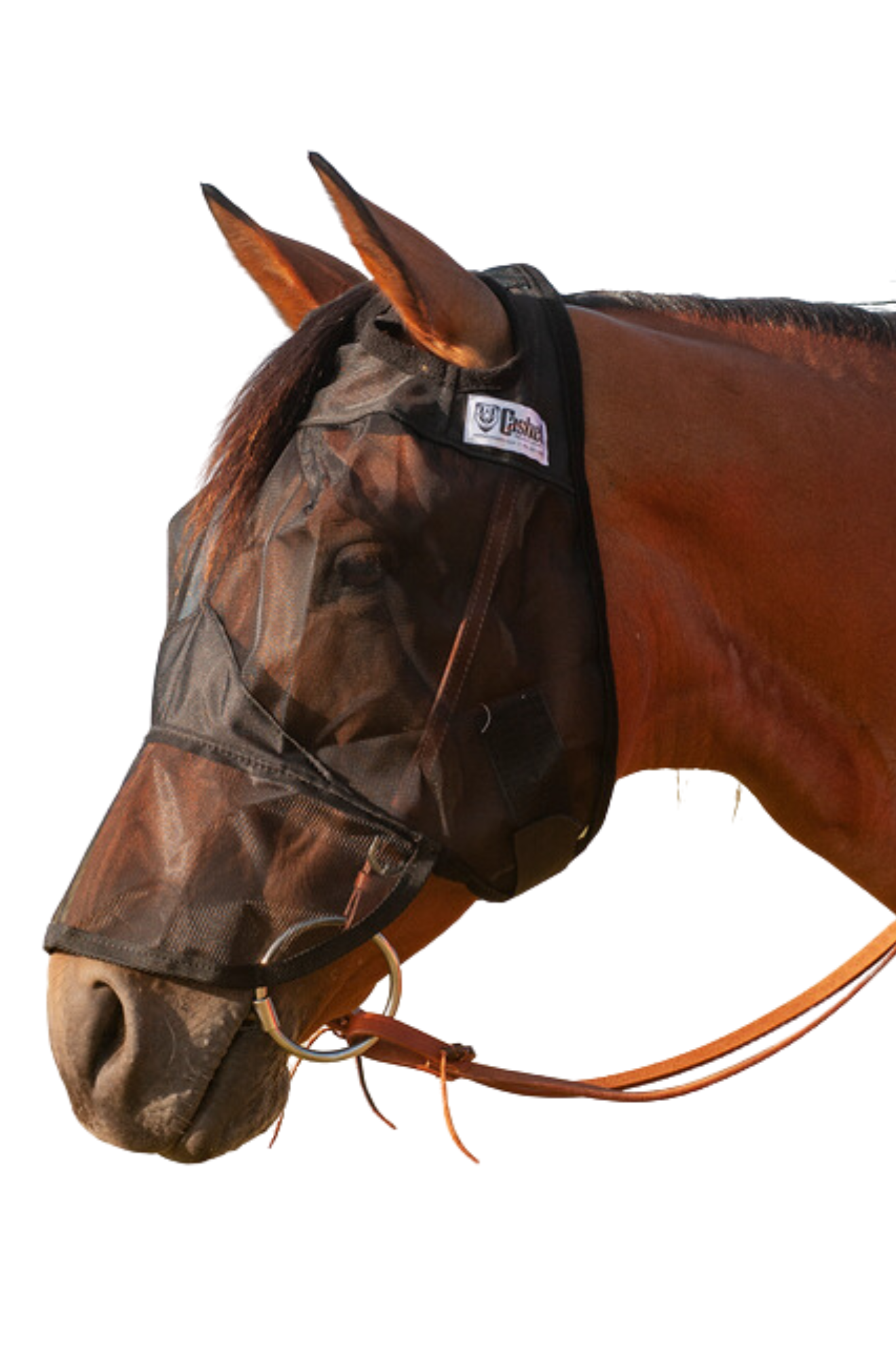 A brown horse wearing a black quiet ride fly mask with long nose cover.