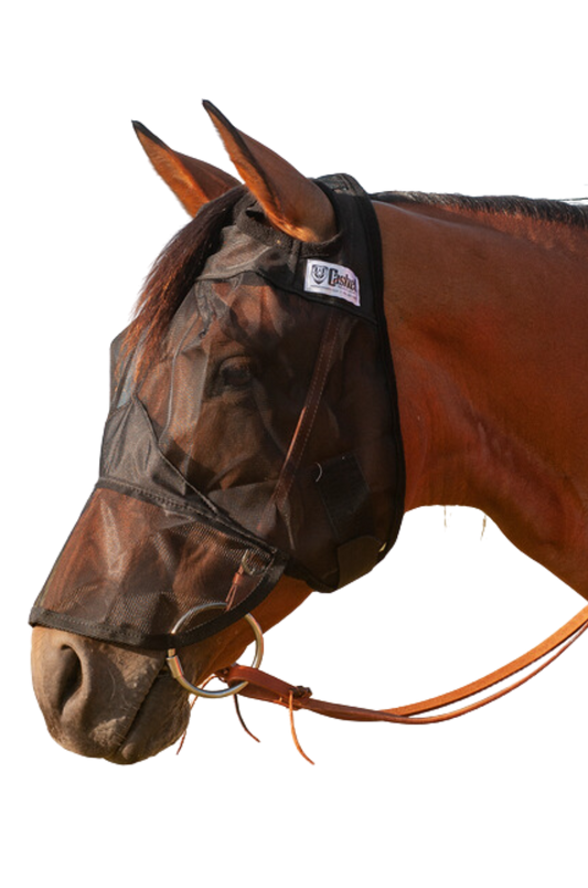 A brown horse wearing a black quiet ride fly mask with long nose cover.