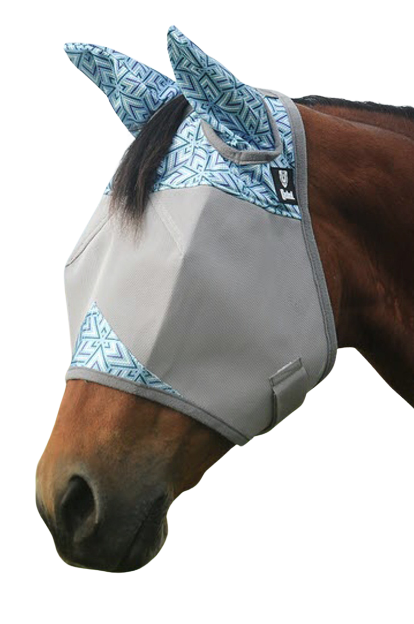 A gray CASHEL Crusader fly mask with ears attached to a horse head.