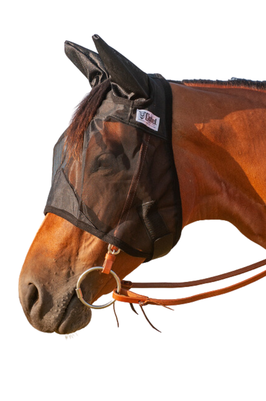 A brown horse wearing a black fly mask with ears attached, designed to protect the horse from insects.