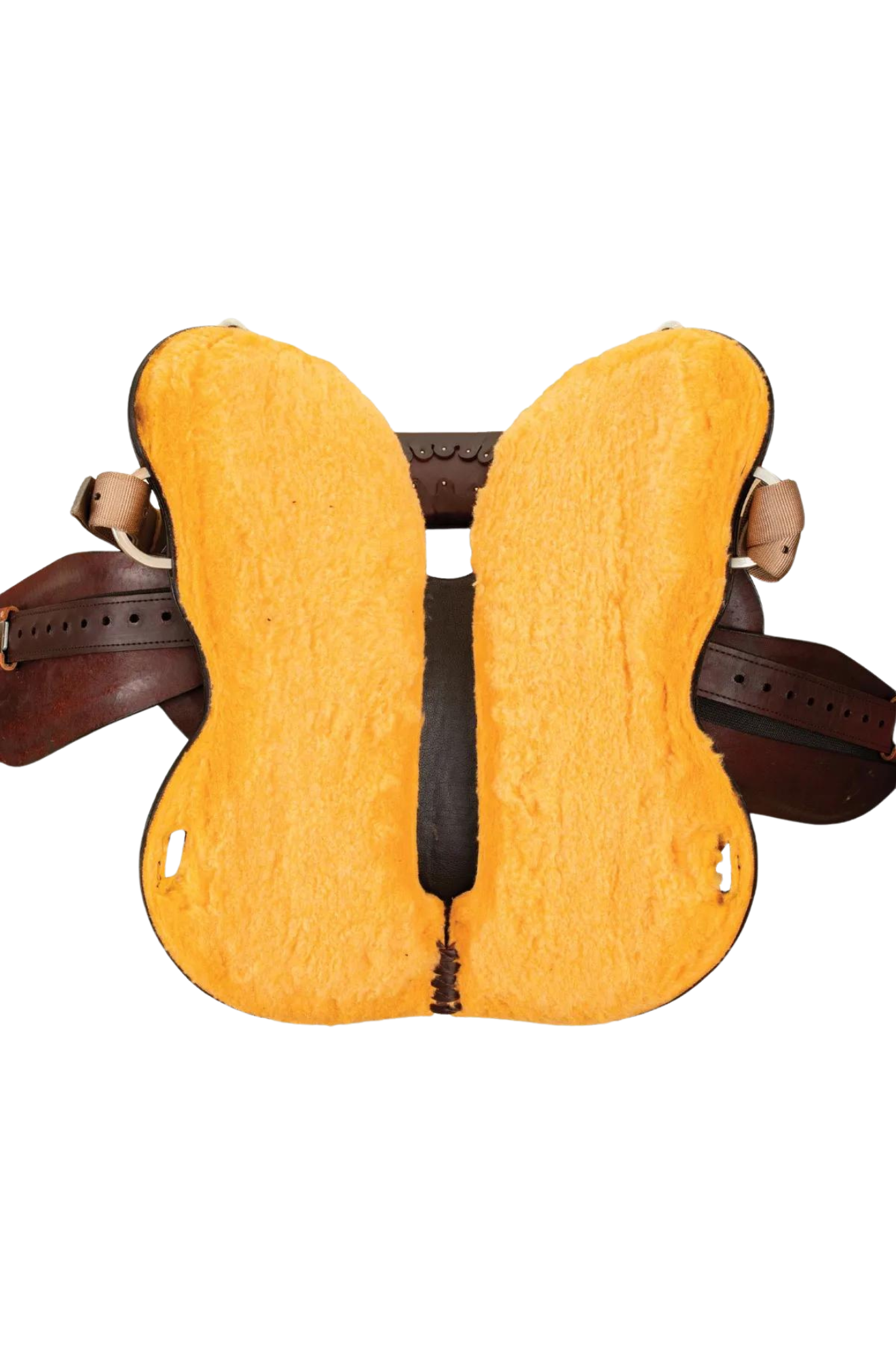 A brown Circle Y Green Valley Trail saddle with brass details and stirrups.