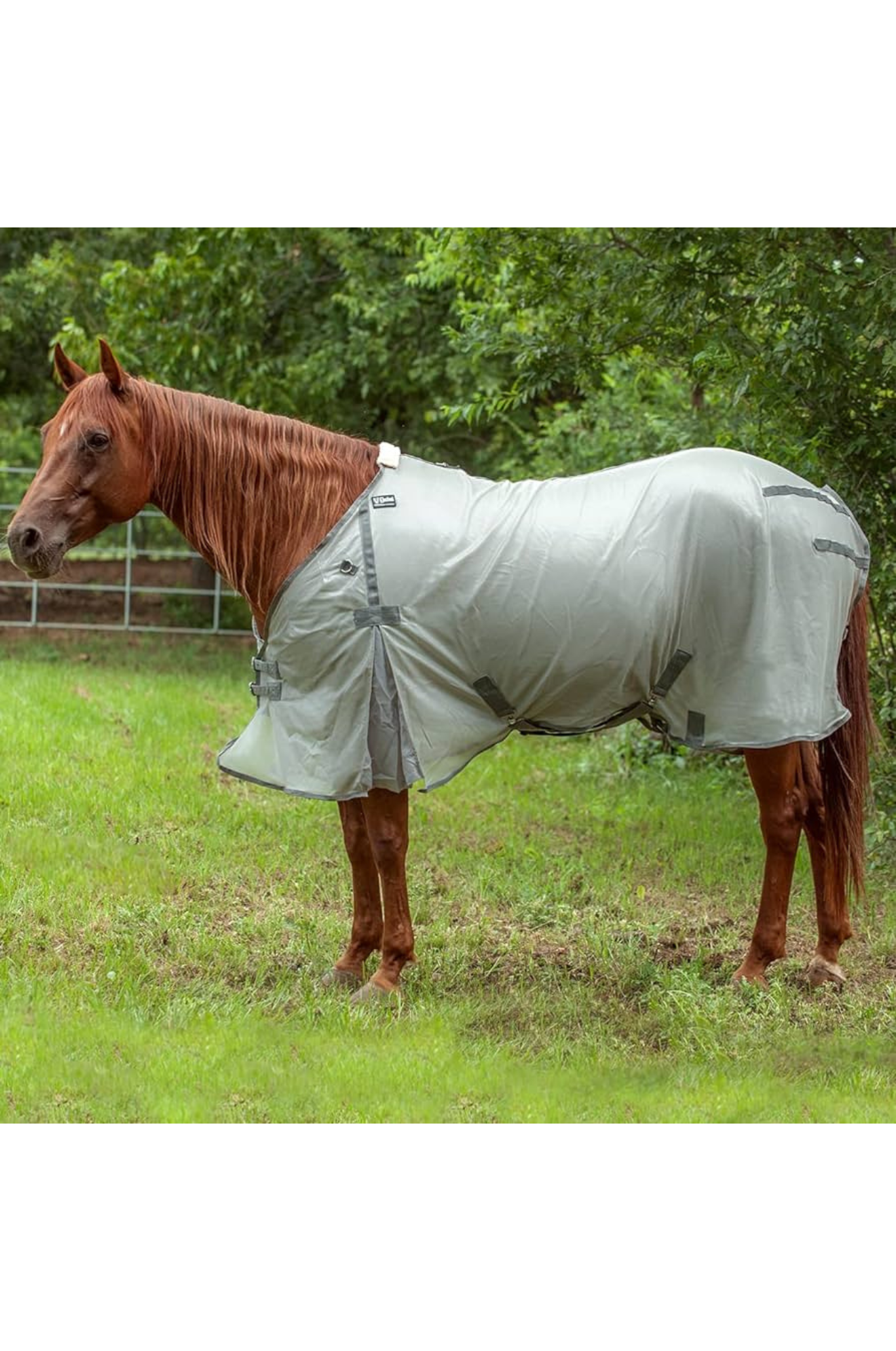 A gray horse fly sheet with fleece lining and adjustable straps.