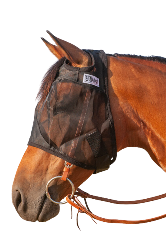 A brown horse wearing a black Quiet Ride Designer Horse Fly Mask, fastened securely over the bridle.