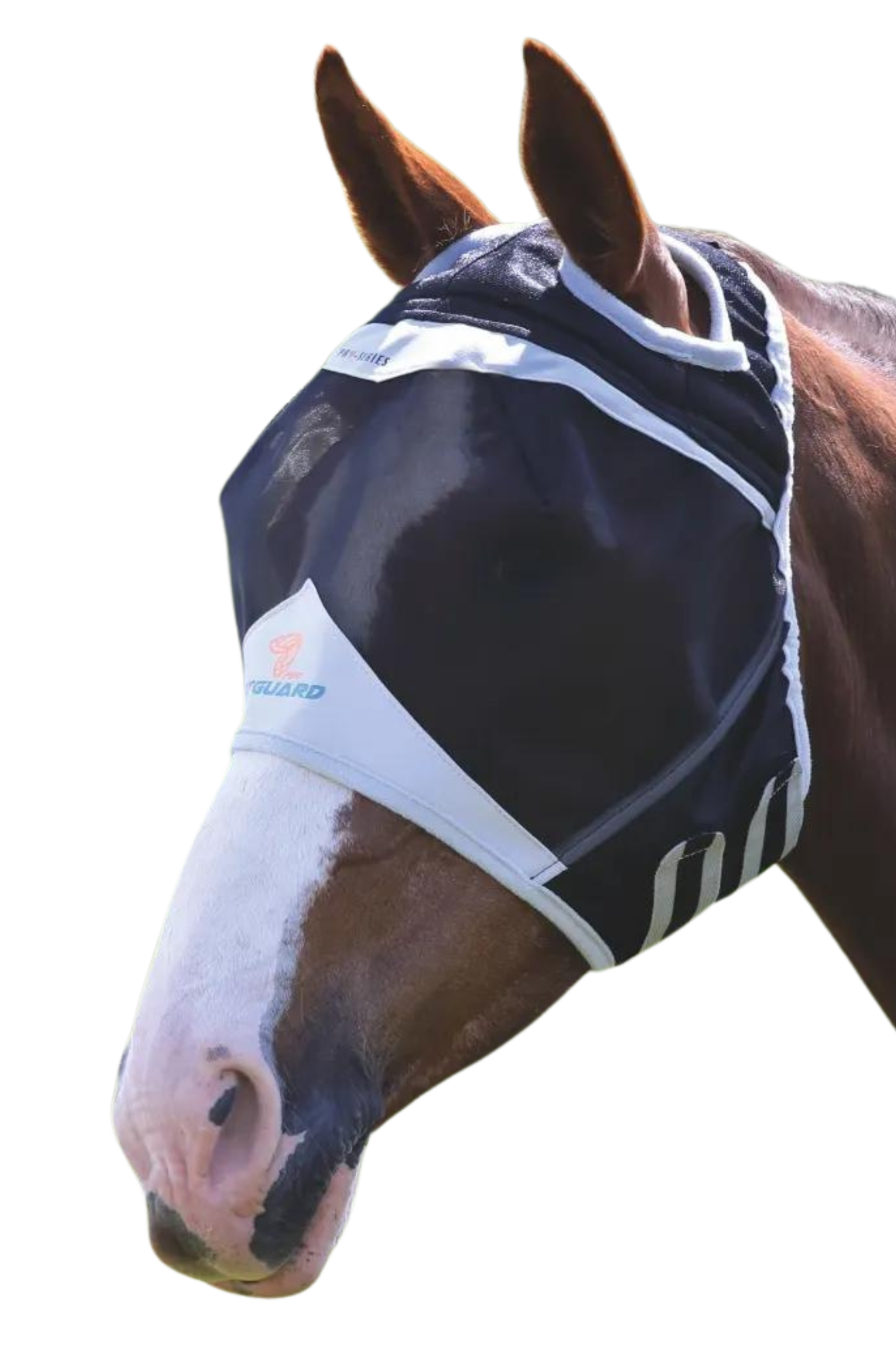A horse wearing a black and gray fine mesh fly mask with a 3D eye visor and secure fly proof mesh shield.