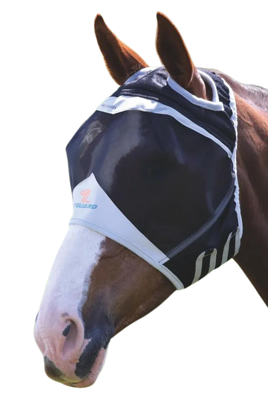 A horse wearing a black and gray fine mesh fly mask with a 3D eye visor and secure fly proof mesh shield.