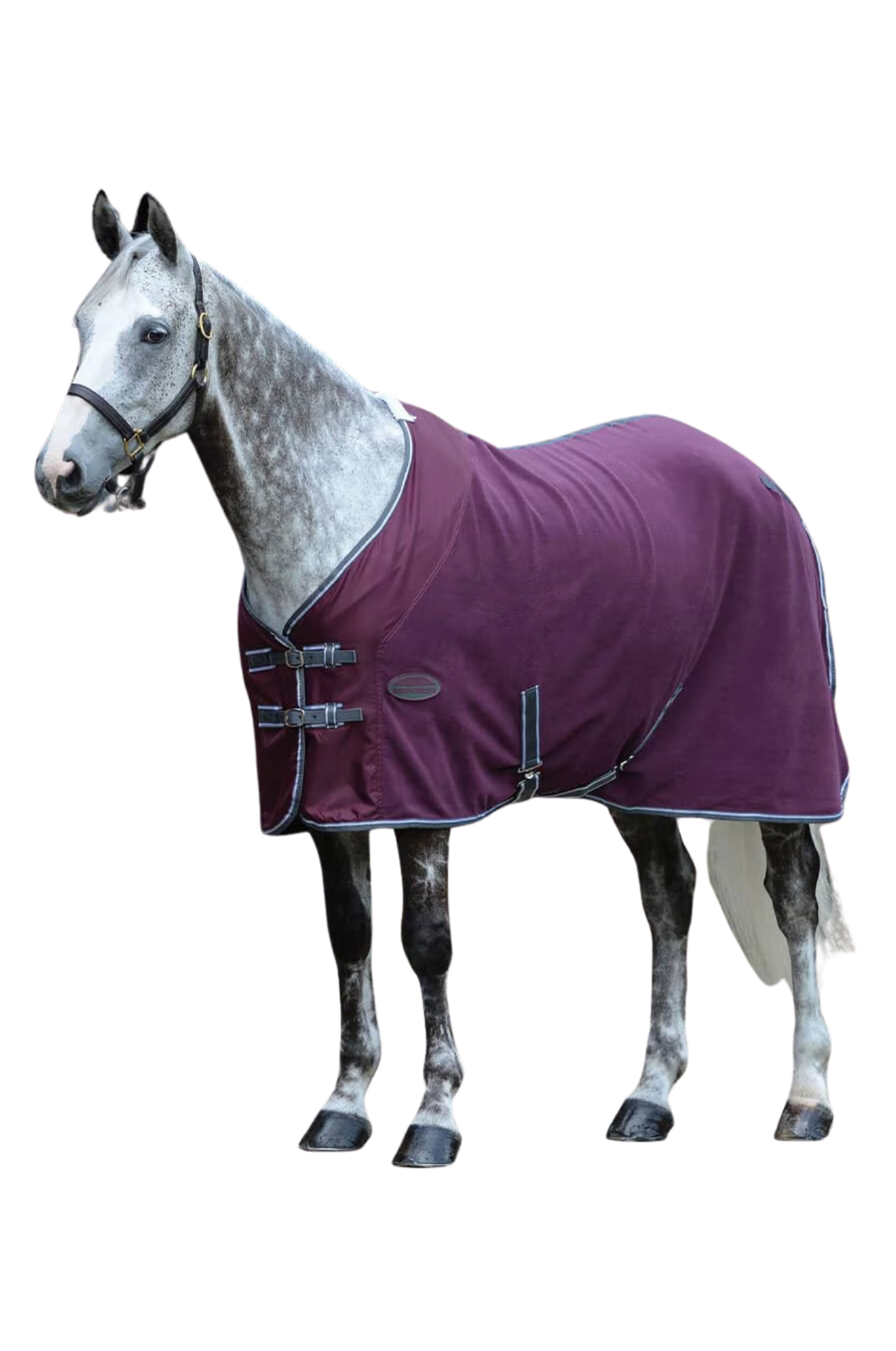 WB Fleece Cooler Standard Neck disc