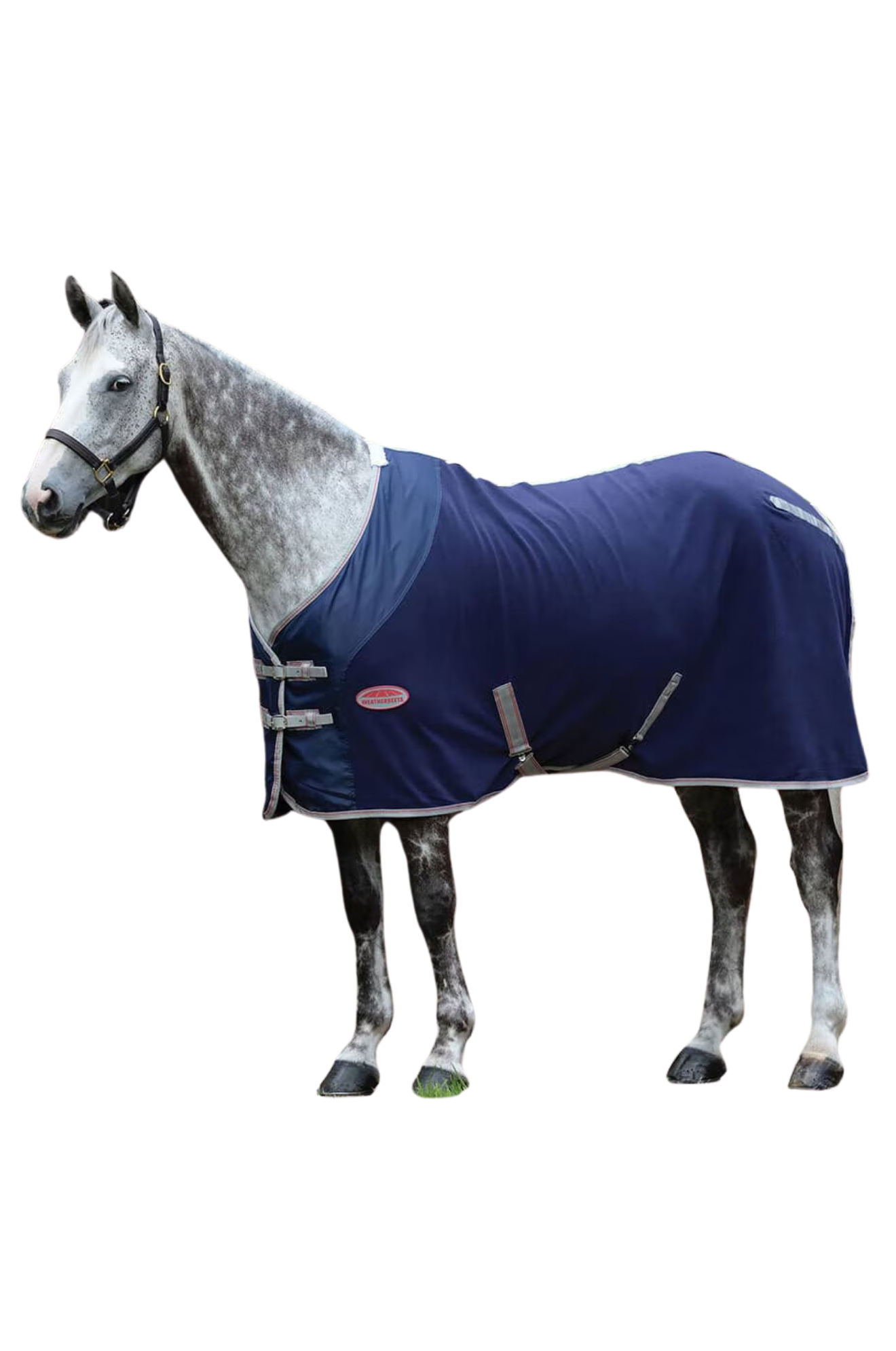 WB Fleece Cooler Standard Neck disc