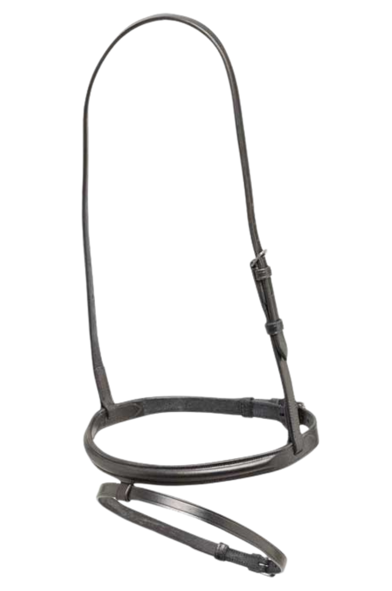 RTM Race Flash  Noseband