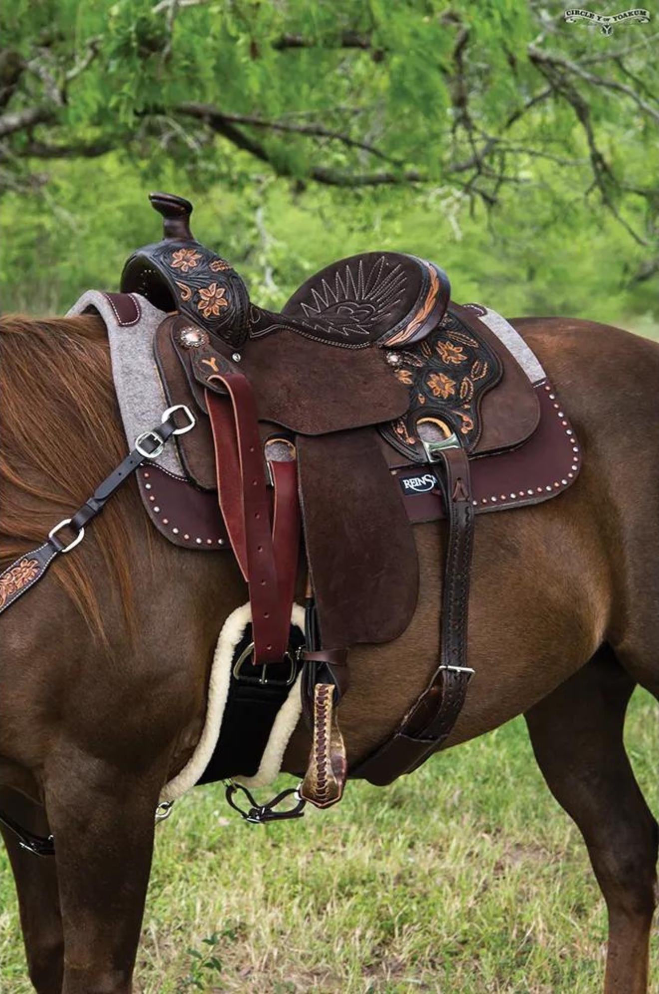 A brown Circle Y Helena All-Around saddle with Arizona flower hand tooling and antique copper berry skirt drop.