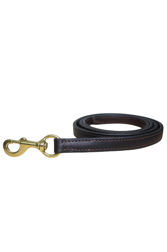 A brown leather horse lead with solid brass hardware including a snap.
