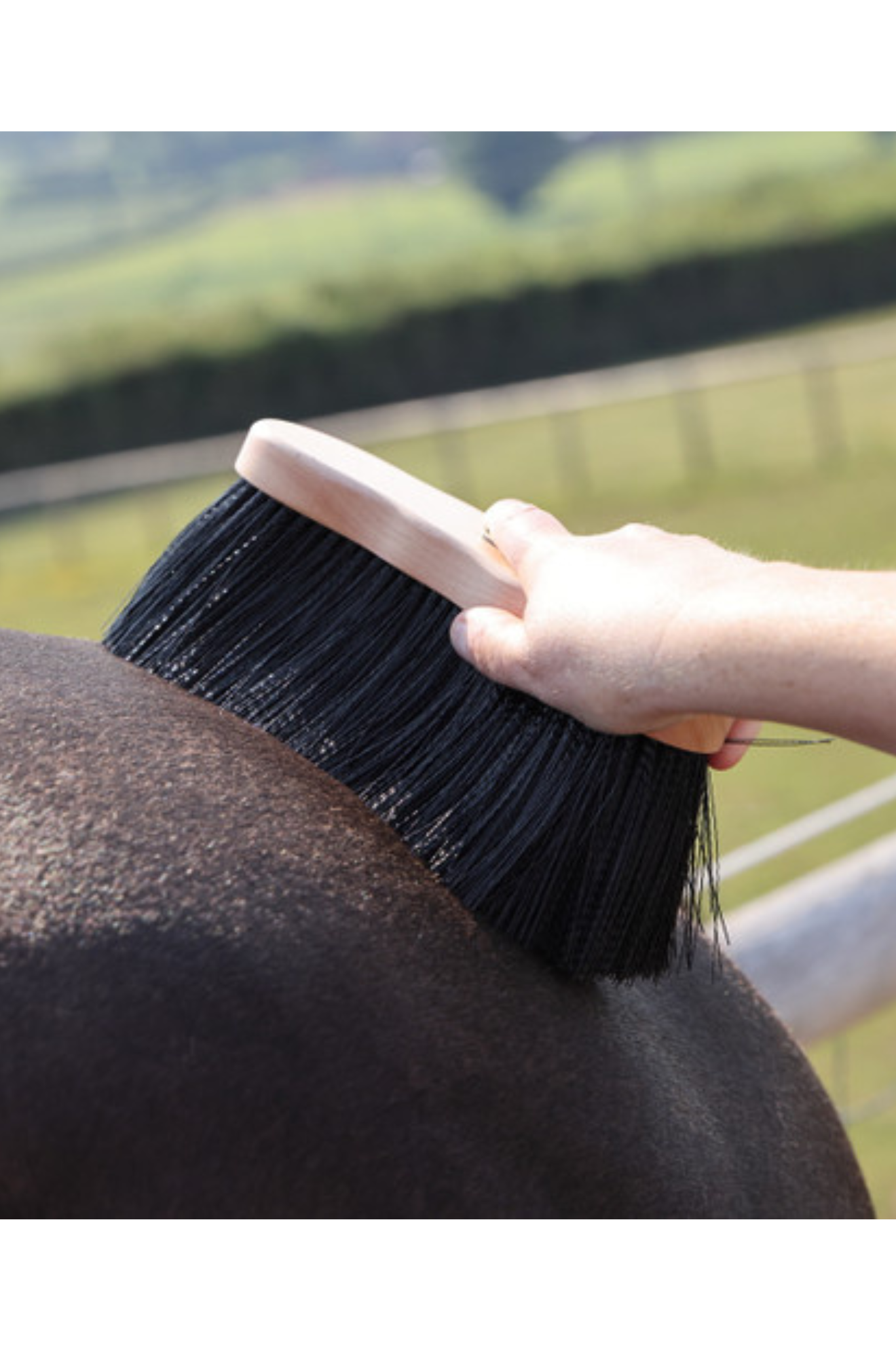 EZI-GROOM PREMIUM DANDY BRUSH